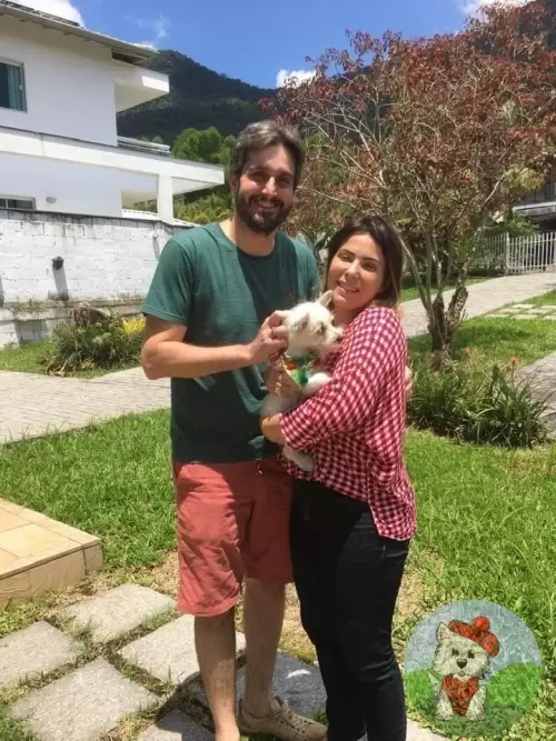 OS FILHOTES E AS FAMÍLIAS