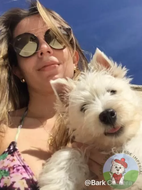 OS FILHOTES E AS FAMÍLIAS
