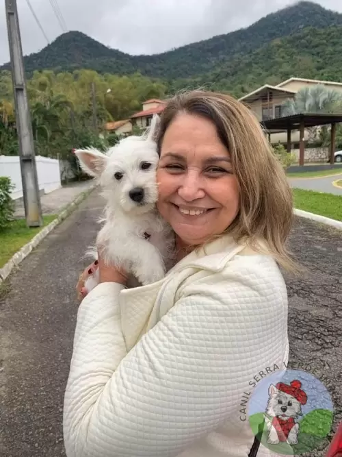 OS FILHOTES E AS FAMÍLIAS