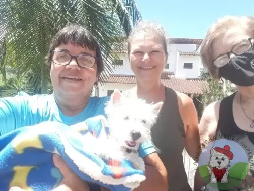 OS FILHOTES E AS FAMÍLIAS