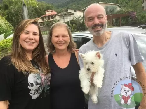 OS FILHOTES E AS FAMÍLIAS
