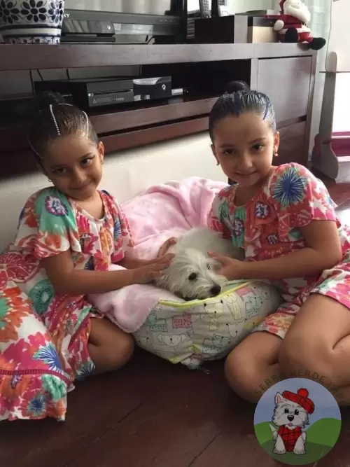 OS FILHOTES E AS FAMÍLIAS