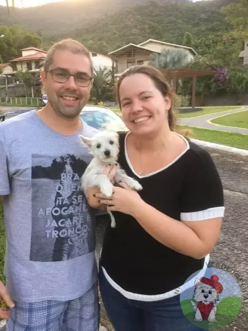 OS FILHOTES E AS FAMÍLIAS