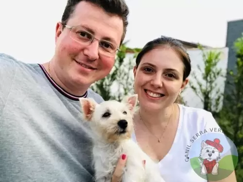 OS FILHOTES E AS FAMÍLIAS