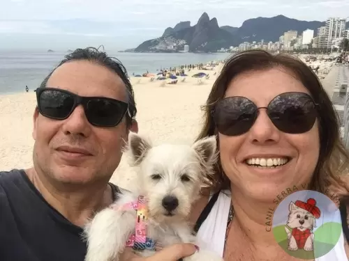 OS FILHOTES E AS FAMÍLIAS
