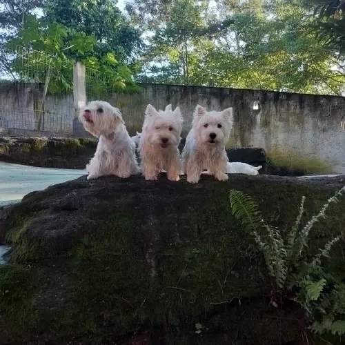 DIA A DIA NOS ESPAÇOS ABERTOS