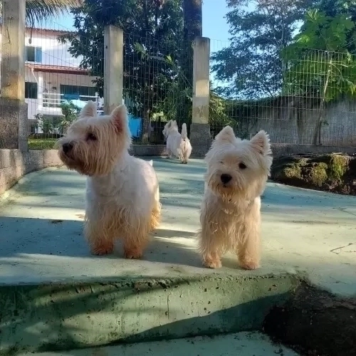 DIA A DIA NOS ESPAÇOS ABERTOS