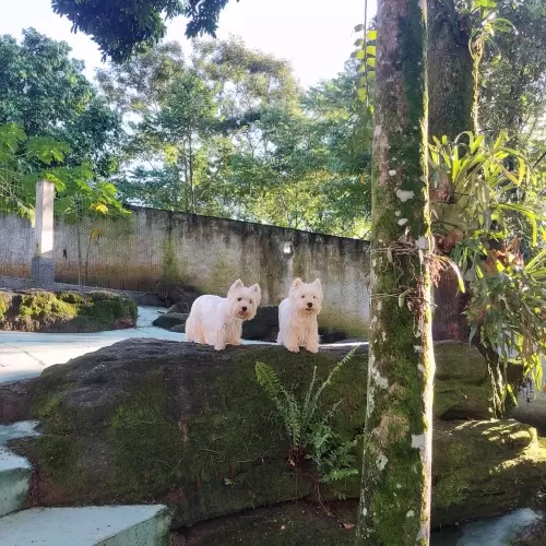 DIA A DIA NOS ESPAÇOS ABERTOS