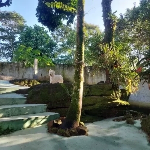 DIA A DIA NOS ESPAÇOS ABERTOS