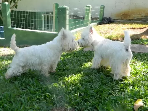 DIA A DIA NOS ESPAÇOS ABERTOS