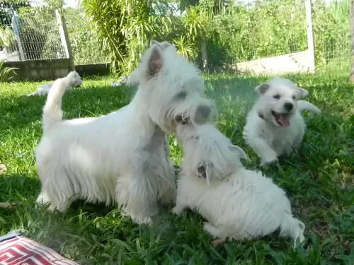 DIA A DIA NOS ESPAÇOS ABERTOS