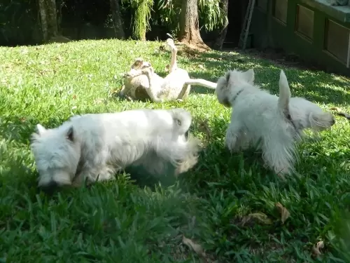 DIA A DIA NOS ESPAÇOS ABERTOS