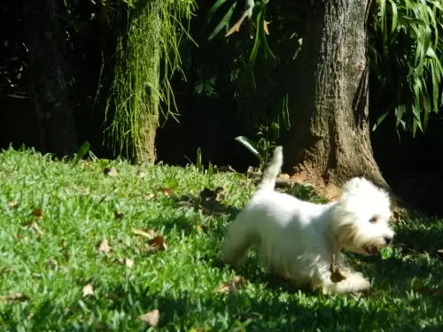 DIA A DIA NOS ESPAÇOS ABERTOS