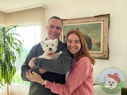 OS FILHOTES E AS FAMÍLIAS