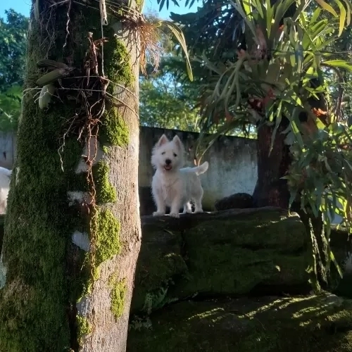 DIA A DIA NOS ESPAÇOS ABERTOS
