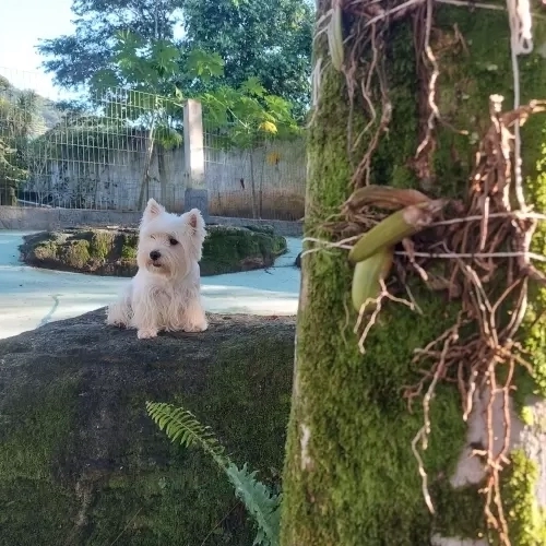 DIA A DIA NOS ESPAÇOS ABERTOS