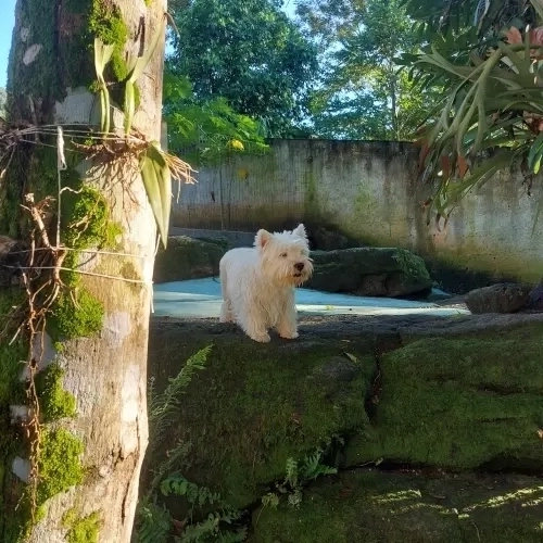 DIA A DIA NOS ESPAÇOS ABERTOS