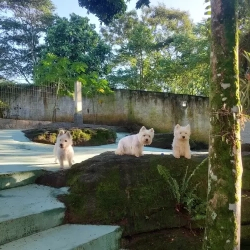 DIA A DIA NOS ESPAÇOS ABERTOS