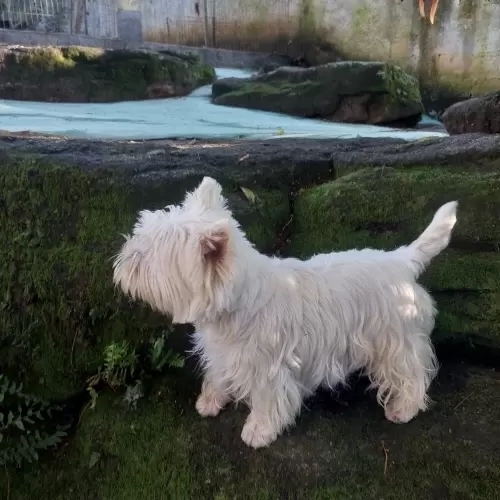 DIA A DIA NOS ESPAÇOS ABERTOS