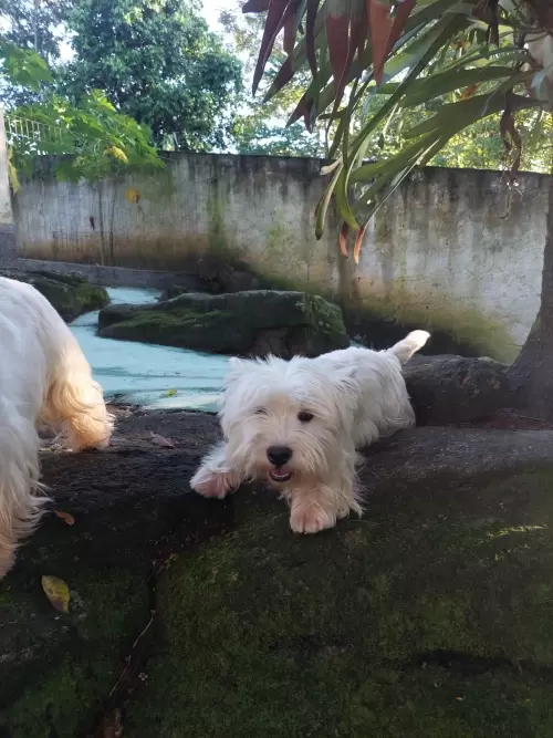 DIA A DIA NOS ESPAÇOS ABERTOS