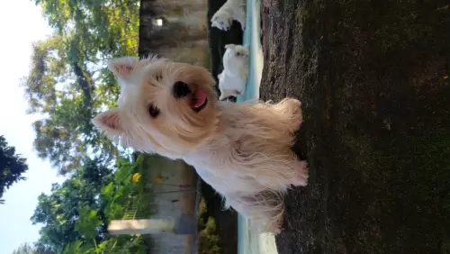 DIA A DIA NOS ESPAÇOS ABERTOS