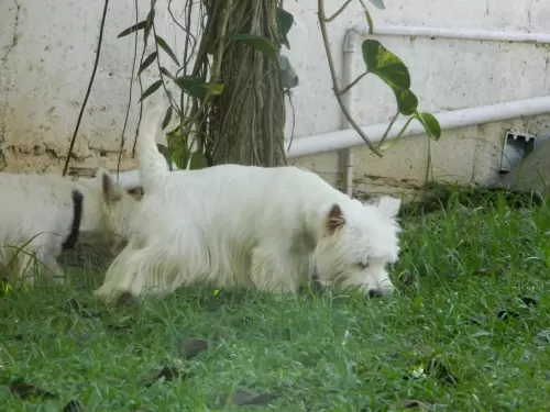 DIA A DIA NOS ESPAÇOS ABERTOS