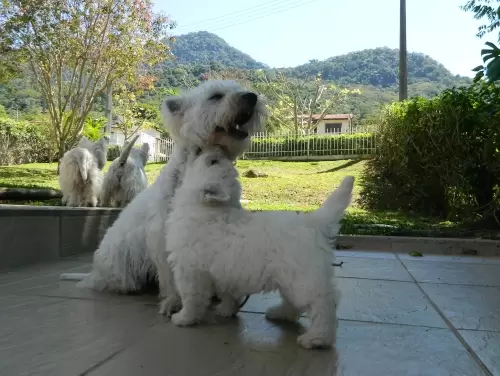 DIA A DIA NOS ESPAÇOS ABERTOS