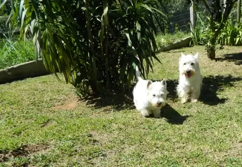 DIA A DIA NOS ESPAÇOS ABERTOS