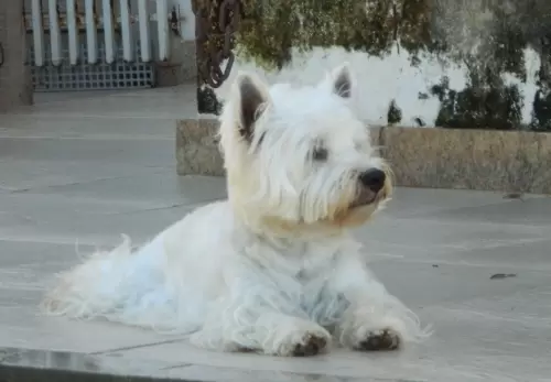 DIA A DIA NOS ESPAÇOS ABERTOS