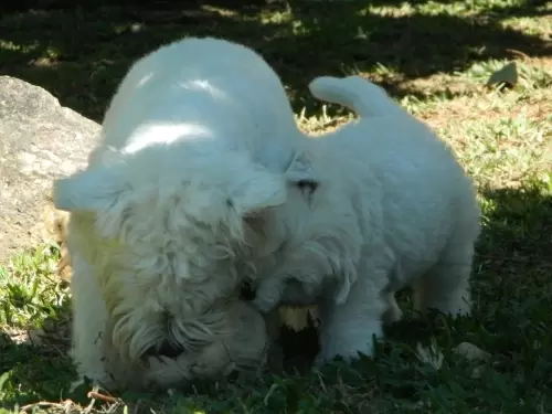 DIA A DIA NOS ESPAÇOS ABERTOS