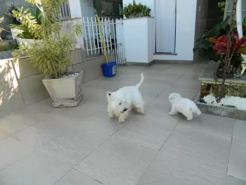 DIA A DIA NOS ESPAÇOS ABERTOS