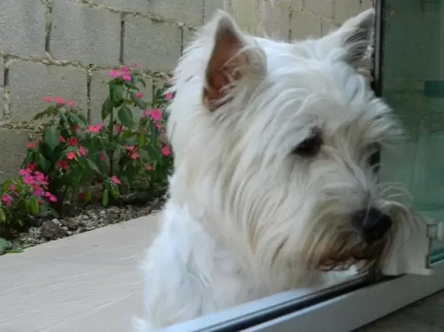 DIA A DIA NOS ESPAÇOS ABERTOS