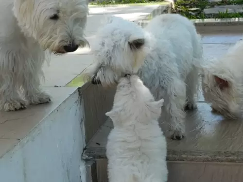 DIA A DIA NOS ESPAÇOS ABERTOS