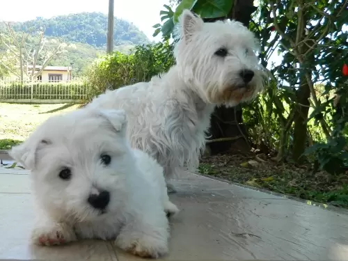 DIA A DIA NOS ESPAÇOS ABERTOS