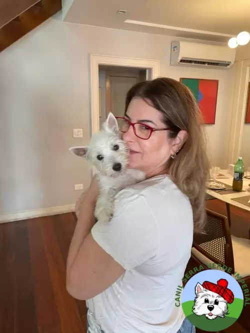 OS FILHOTES E AS FAMÍLIAS