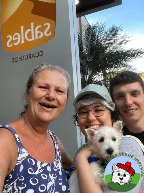 OS FILHOTES E AS FAMÍLIAS