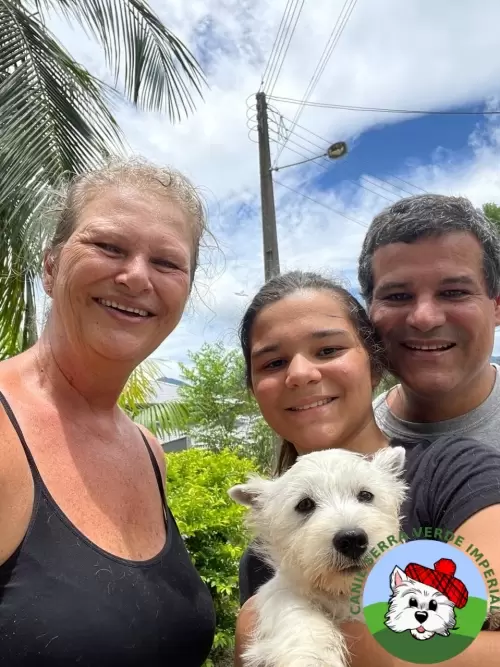 OS FILHOTES E AS FAMÍLIAS