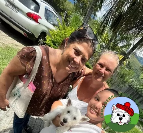 OS FILHOTES E AS FAMÍLIAS