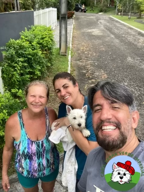 OS FILHOTES E AS FAMÍLIAS