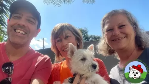 OS FILHOTES E AS FAMÍLIAS