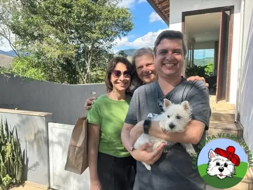 OS FILHOTES E AS FAMÍLIAS