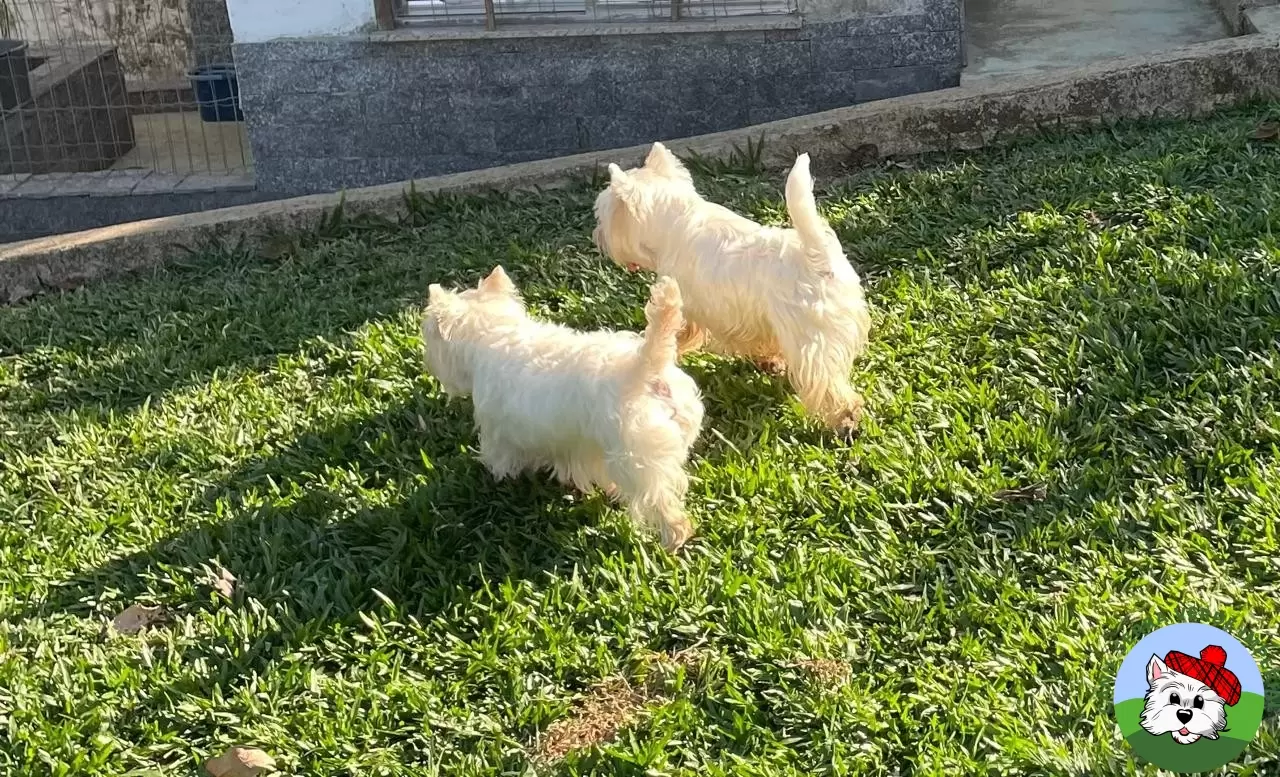 Nanuk e Firenze so amor!